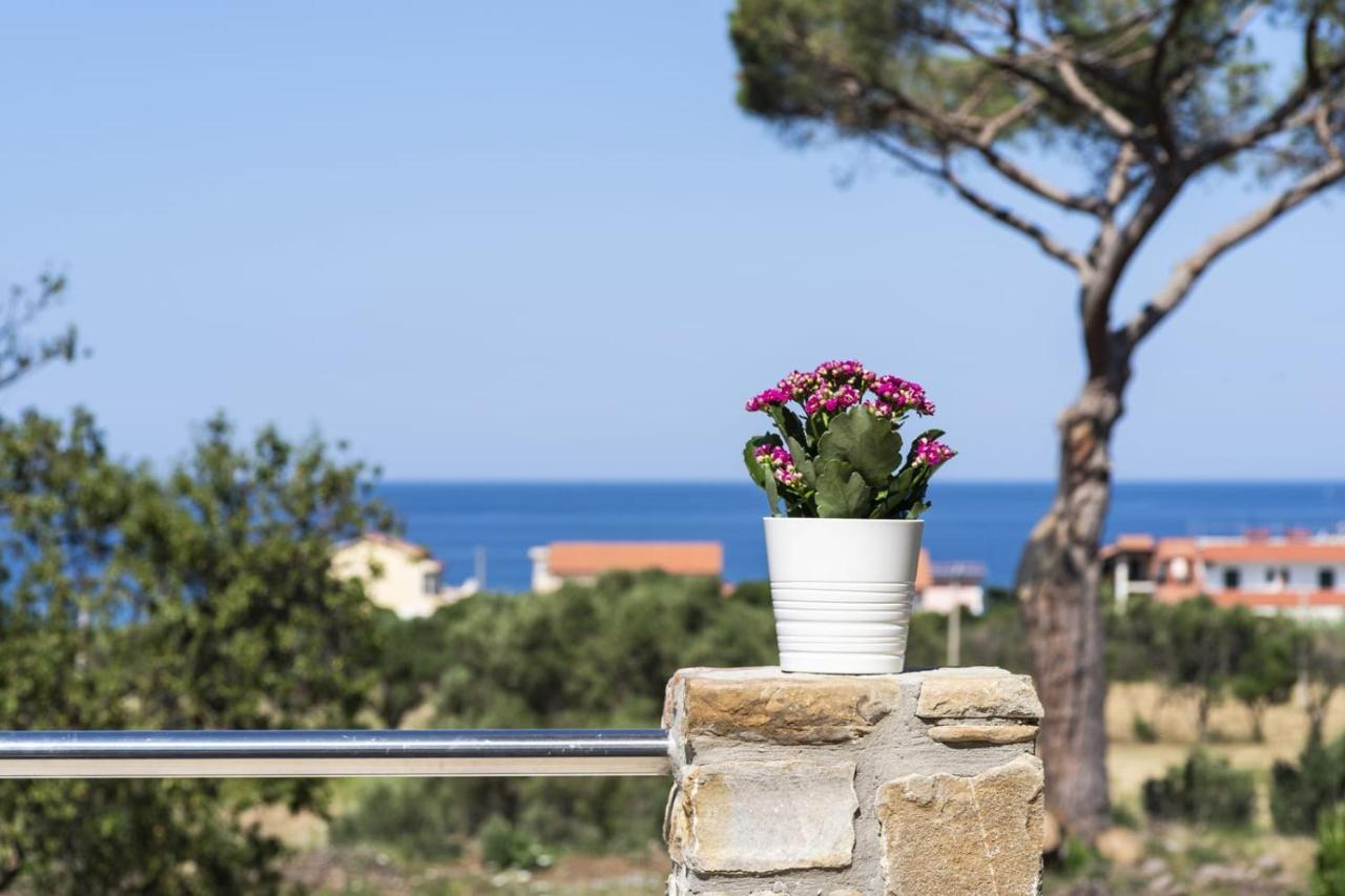 B&B Il Sogno ซานตามาเรีย ดิ กาสเตลลาบาเต ภายนอก รูปภาพ