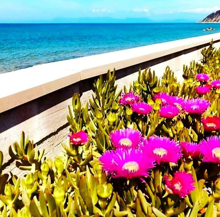 B&B Il Sogno ซานตามาเรีย ดิ กาสเตลลาบาเต ภายนอก รูปภาพ