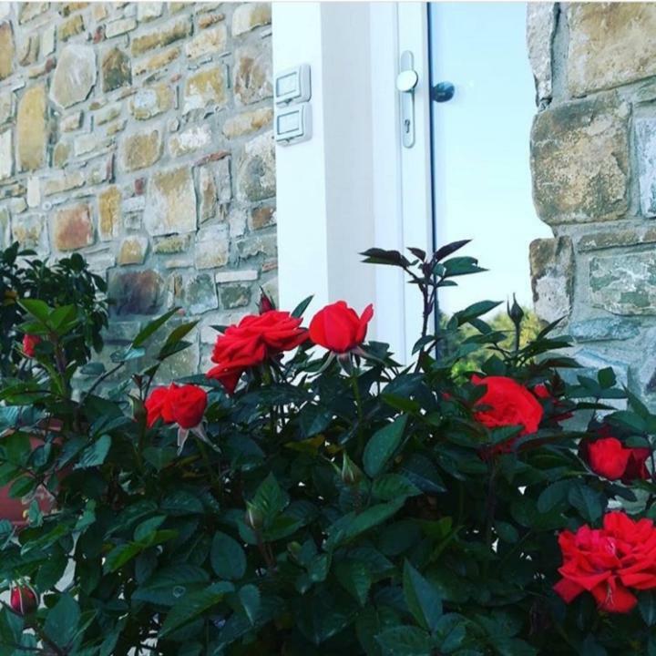 B&B Il Sogno ซานตามาเรีย ดิ กาสเตลลาบาเต ภายนอก รูปภาพ